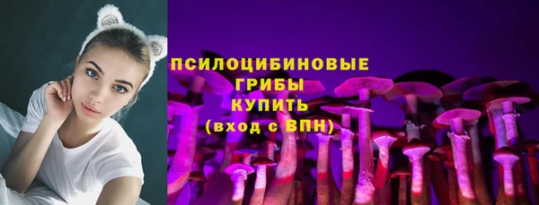 стафф Дрезна