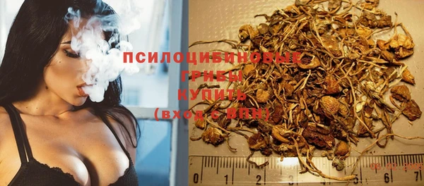 СК Дубовка