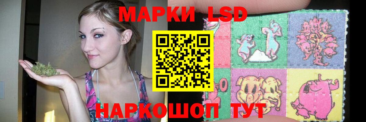 blacksprut зеркало  Вход с VPN  Ишимбай  ЛСД экстази ecstasy  LSD-25 экстази ecstasy 