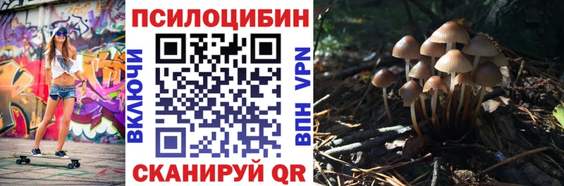 Псилоцибиновые грибы GOLDEN TEACHER  купить  сайты  Ишимбай 