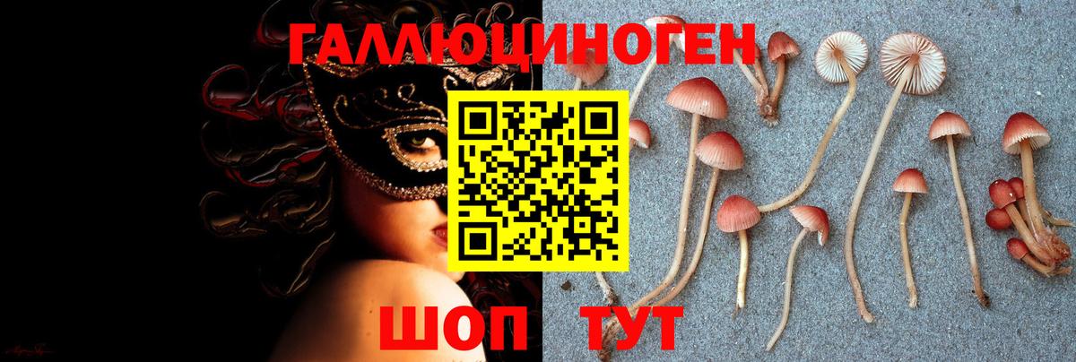Ишимбай  Псилоцибиновые грибы Magic Shrooms  Галлюциногенные грибы Psilocybe  Вход с VPN 