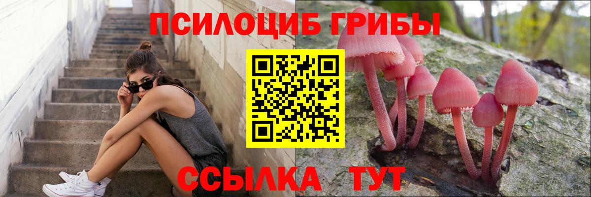 Псилоцибиновые грибы GOLDEN TEACHER  Ишимбай  Галлюциногенные грибы Psilocybine cubensis 